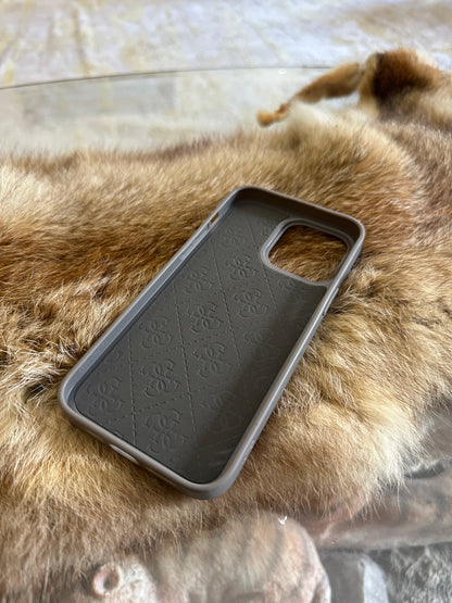 Case guess GRIS