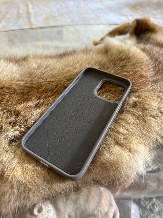 Case guess GRIS